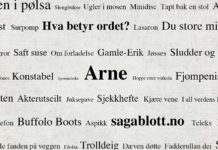 Arne - Saga Blott