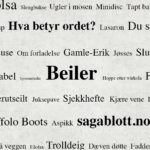 Beiler - Saga Blott